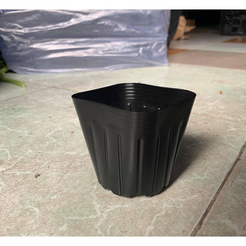 10 Chậu nhựa dẻo màu đen ươm cây 9cm-chh