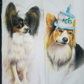 BỘ MÀU VẼ VẢI (nhỏ)