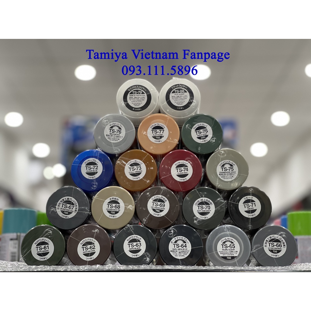 Sơn xịt TS 100ml