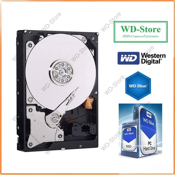 Ổ cứng HDD WD 1TB Blue New chính hãng