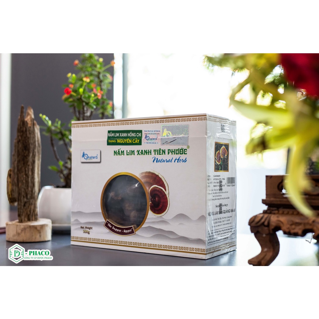 Nấm Lim Xanh Tiên Phước - Nguyên cây 500GR