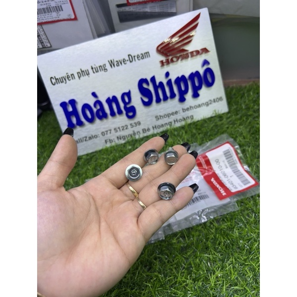 Bộ ốc cate wave thái