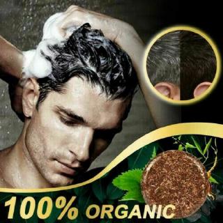 Dầu gội đầu polygonum multiflorum tự nhiên làm đen tóc hỗ trợ phục hồi tóc hư tổn