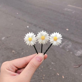 Sét 5 Kẹp Tóc Hoa Cúc Họa Mi