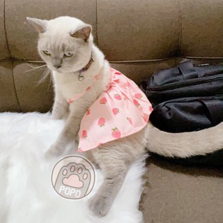 🌸 Váy Đầm Nhiều Kiểu Siêu Xinh Cho Chó Mèo Thú Cưng 🌼