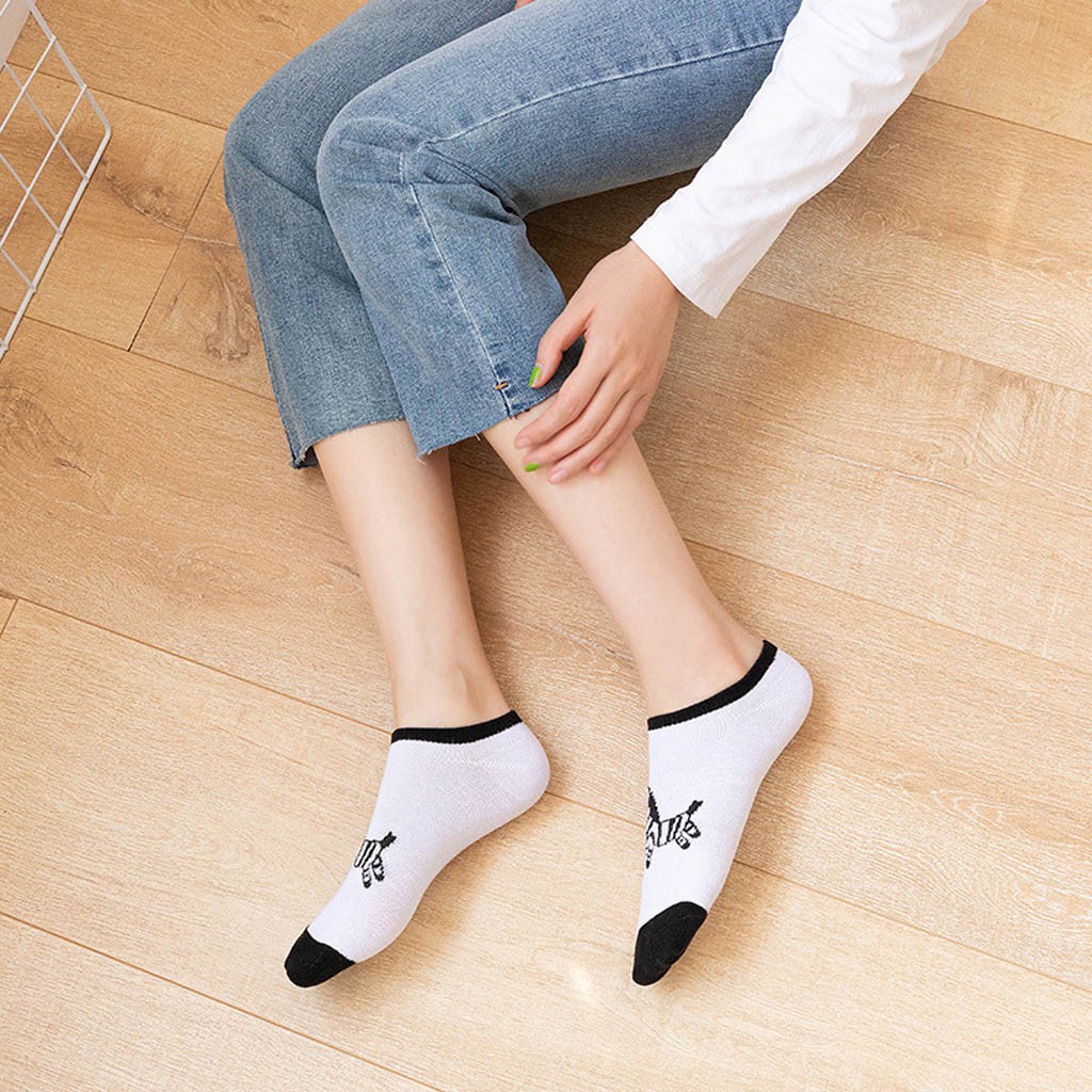 [Set Tất Vớ Nữ 5 Đôi] Tất Vớ Nữ Thun Cotton Con Lừa Buta TN02