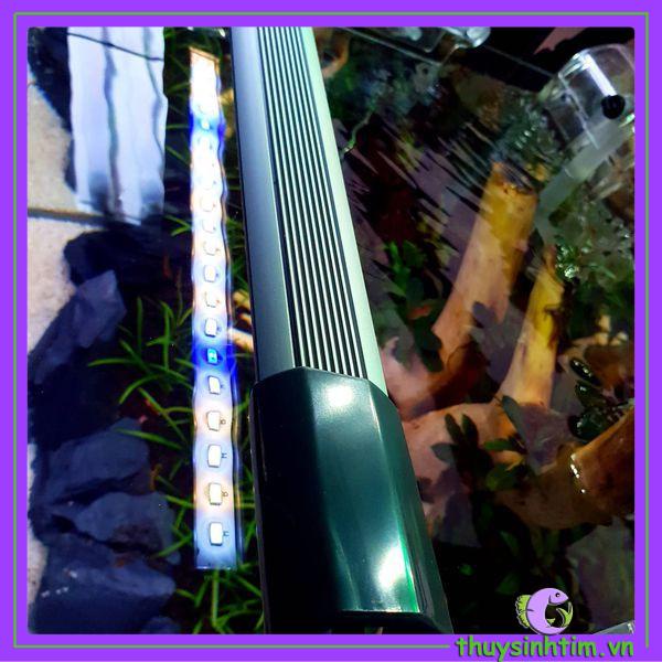 Đèn LED Thủy Sinh Siêu Sáng DF