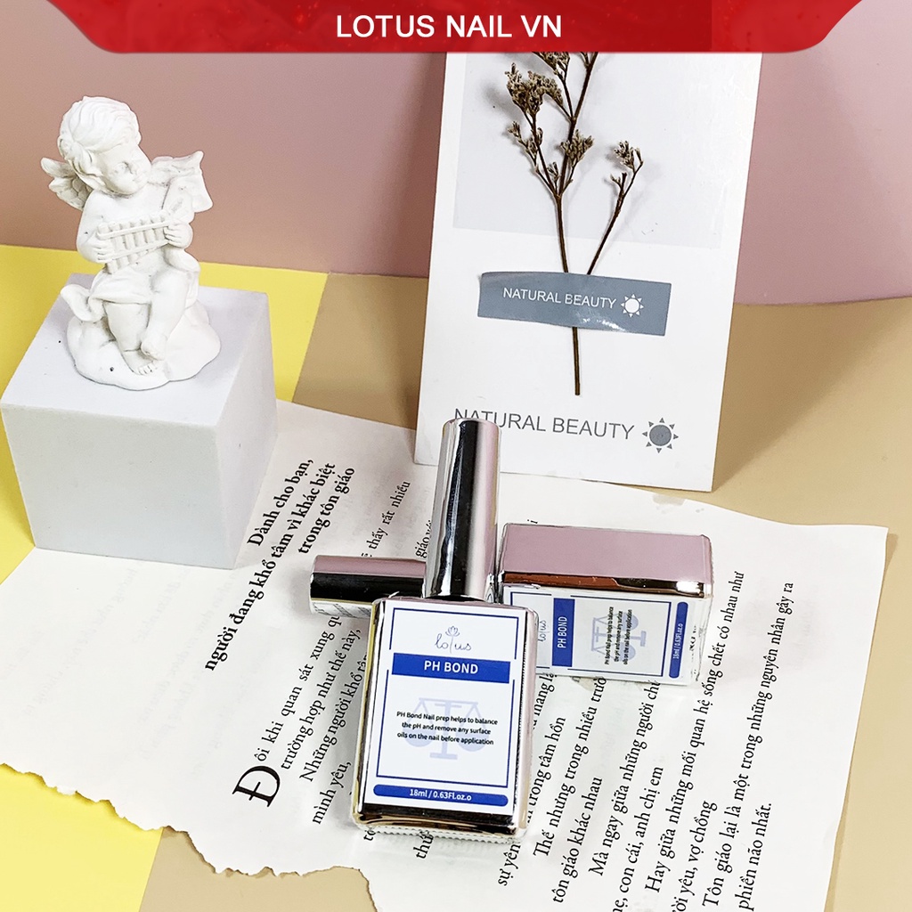 Liên kết bột ( Ph bond ) Lotus chai 18ml
