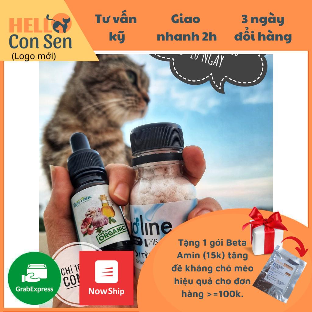 Combo hỗ trợ trị nấm, ghẻ cho chó mèo ( Tinh dầu tỏi 10ml, Men vi sinh 40g)