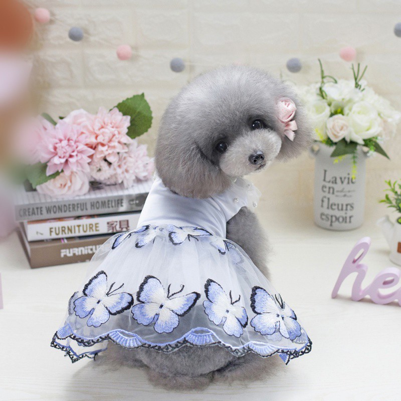Váy xòe ballet mùa hè hình bướm cho cún cưng