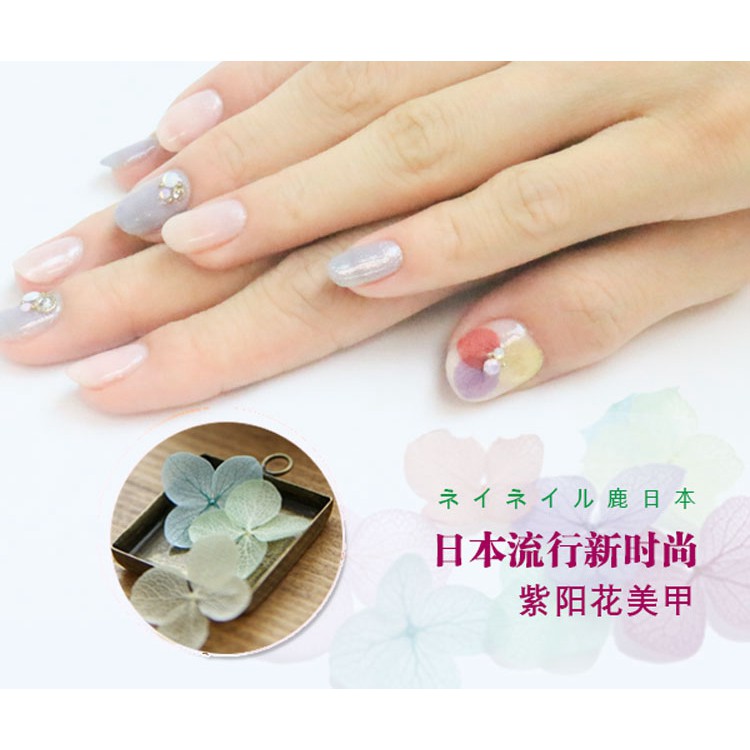 Hoa Khô Lụa 12 Màu Cánh To Ẩn Gel, Ẩn Bột - Phụ Kiện Trang Trí Móng Nail Art