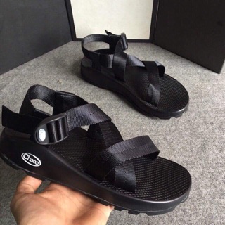 ChaCo nam mẫu mới