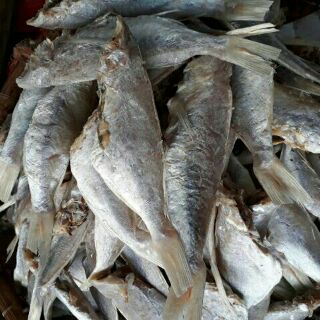 Khô cá đổng - đặc sản phú quốc