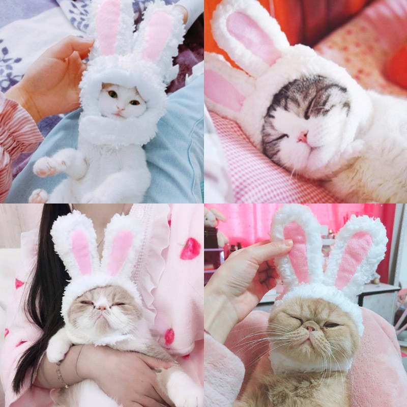 Nón Tai Thỏ Cute Xinh Xĩu Cho Em Meow Em Cún