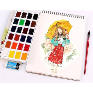 [TANUKI ART]Set màu nước Sonnet 24 màu vỏ giấy