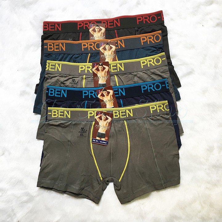 Set 10 quần lót nam Pro-Ben 05