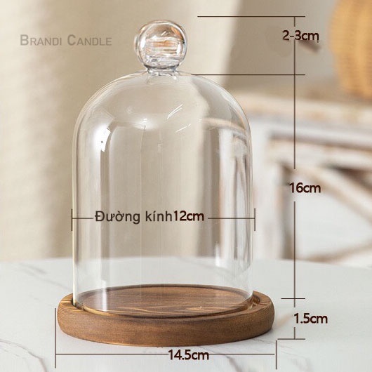Chụp nến thủy tinh phụ kiện nến thơm trang trí nhà cửa