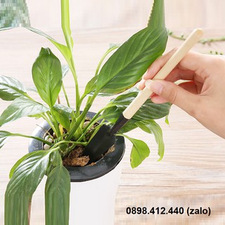 Bộ dụng cụ làm vườn mini - dụng cụ làm vườn
