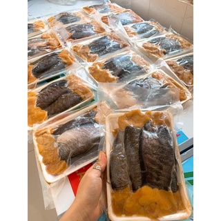 CÁ SẶC TRỨNG 1 NẮNG - vỉ 500g (nowship)