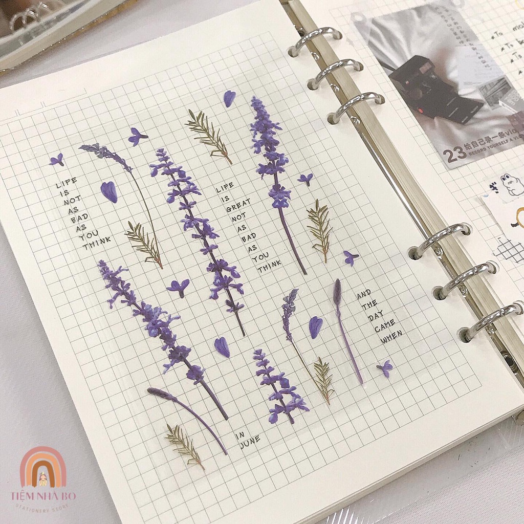 STICKER HOA, NHÃN DÁN TRANG TRÍ SỔ TAY BASIC SIÊU XINH