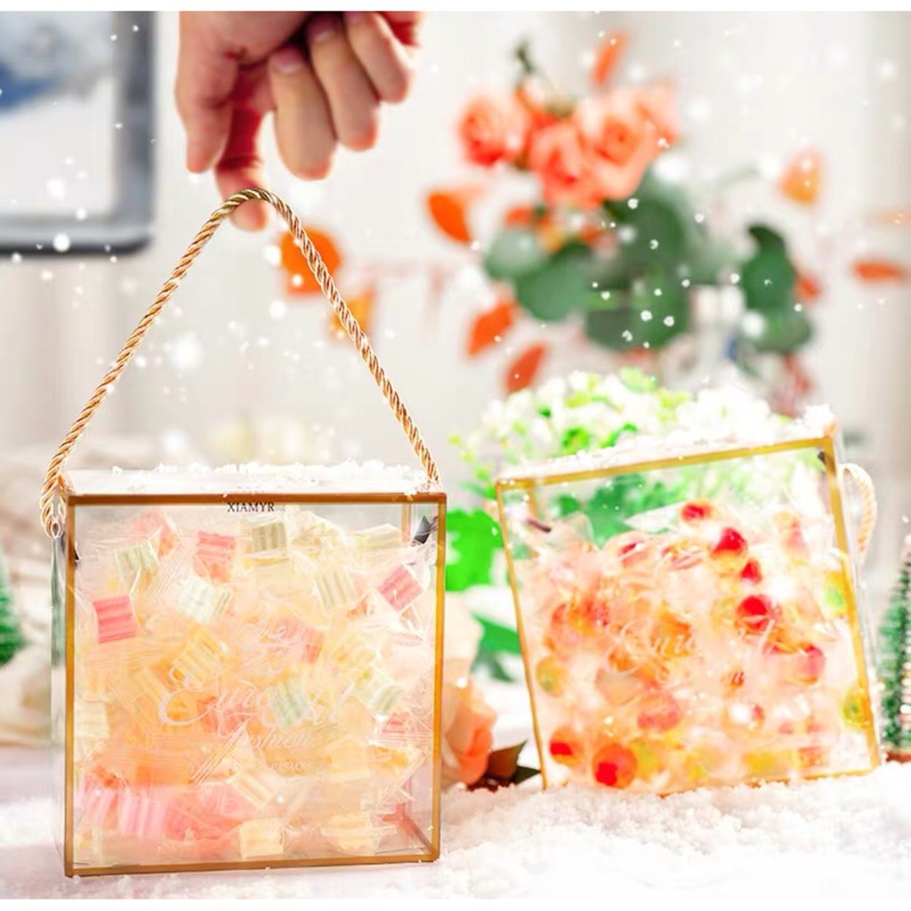 Túi xách mica 14x14x7cm các mẫu