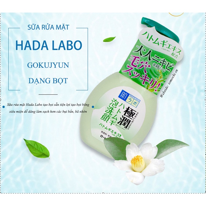 Sữa rửa mặt Hada Labo Gokujyun Rohto Nhật Bản  160ml Xanh và Trắng