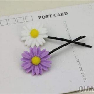 Kẹp hoa cúc màu sắc