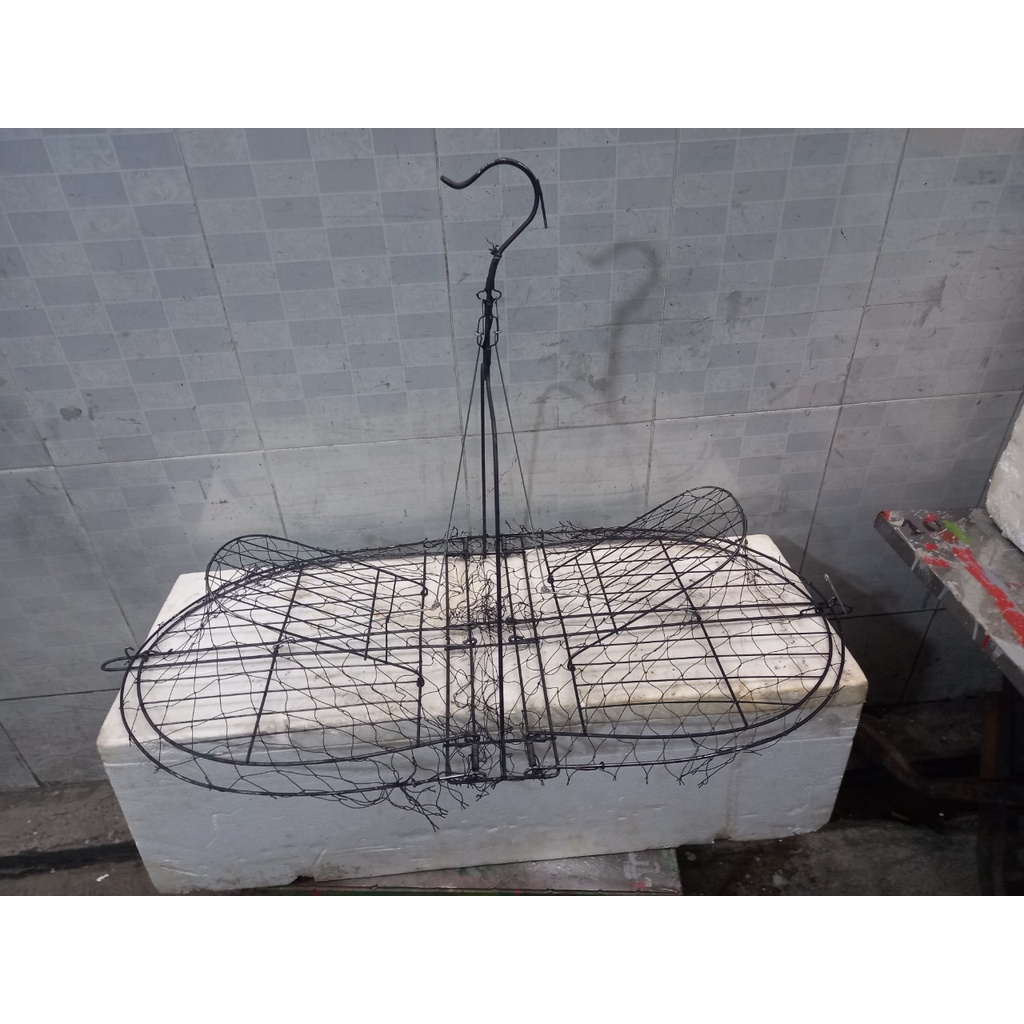 Lụp sơn đen bẫy chim bìm bịp, chim quốc