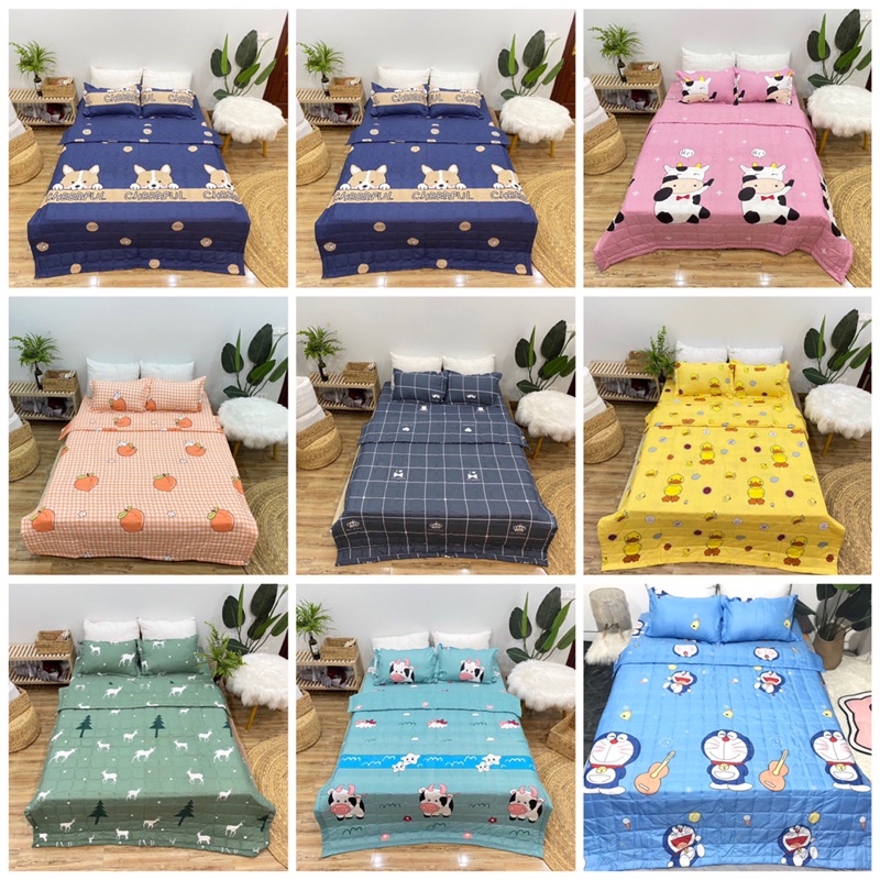 Bộ 1 Ga chun và 2 vỏ gối Cotton poly, chat chọn mẫu.