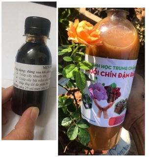 Combo 1 lít dịch chuối trứng sữa + 100 ml men hấp thụ phân bón.