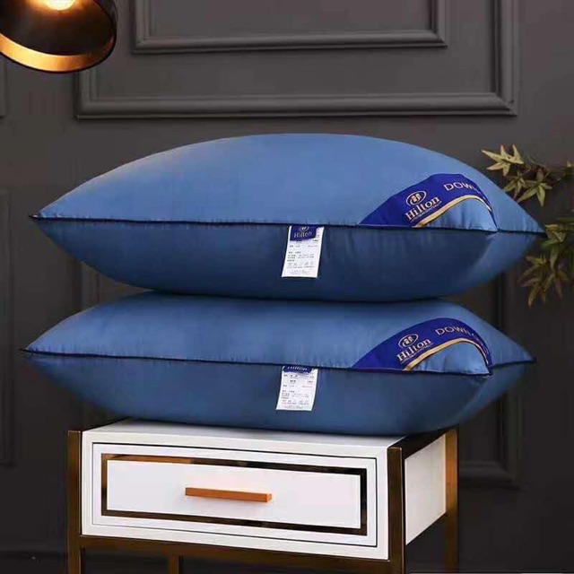 Đôi Gối Hiton Cao Cấp Với giá tầm trung kháng khuẩn
