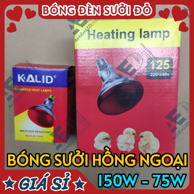 Bóng đèn sưởi hồng ngoại chữa bệnh, động vật, gia súc, chó, mèo, gà, lợn