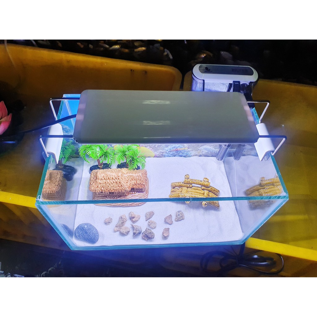 COMBO HỒ CÁ TRANG TRÍ SẴN 24X15X15CM 390KClick để phóng to  Bonsai Cá cảnh Nhật ToànChăm sóc thú cưngChăm sóc cá &amp; bể th