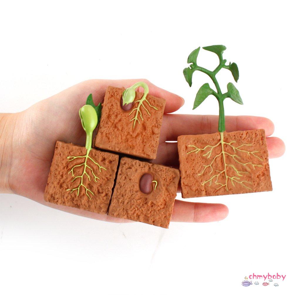 【OMB】 Simulation Life Cycle Of Green Bean Plant Growth Cycle Model Action Figures