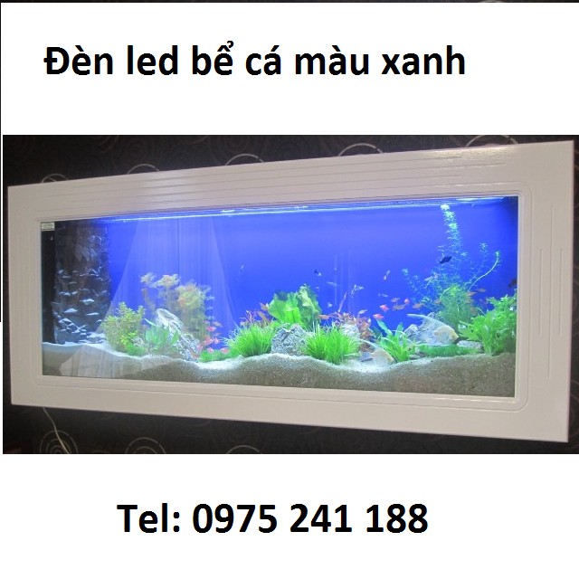 Đèn led bể cá T4-60, siêu sáng, 10W, dài 58.5cm, dùng cho bể 60-80cm