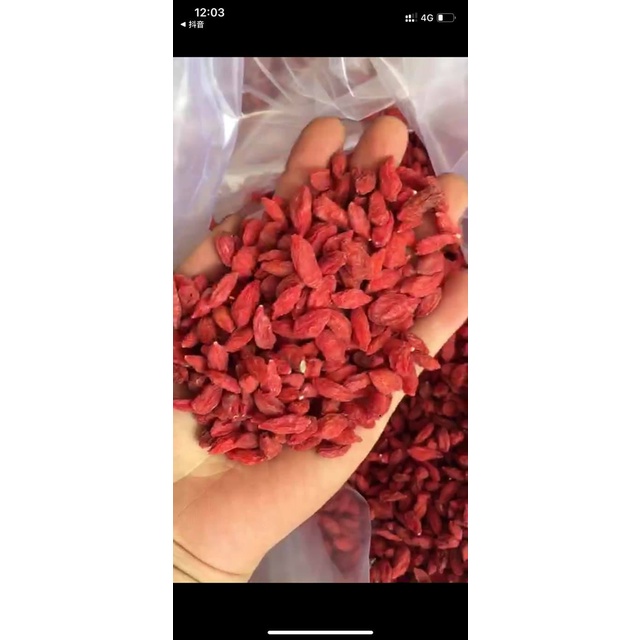 Hạt kỳ tử đỏ (500g), kì tử đỏ, kỷ từ đỏ, kỹ tử hạt to đều hàng loại 1, khô, ngon ngọt chất lượng