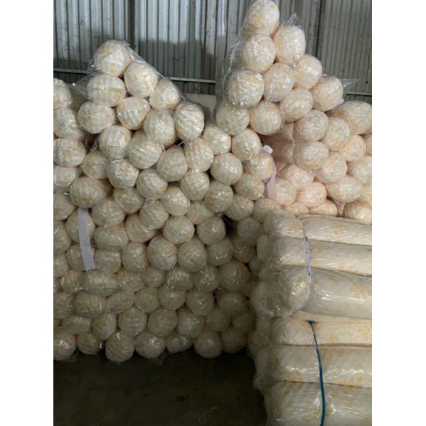 Ruột Gối Ôm Cao Su Non  Nhập Khẩu Cam Kết Trọn Đời Kháng Khuẩn- Gối ôm cao su cao cấp