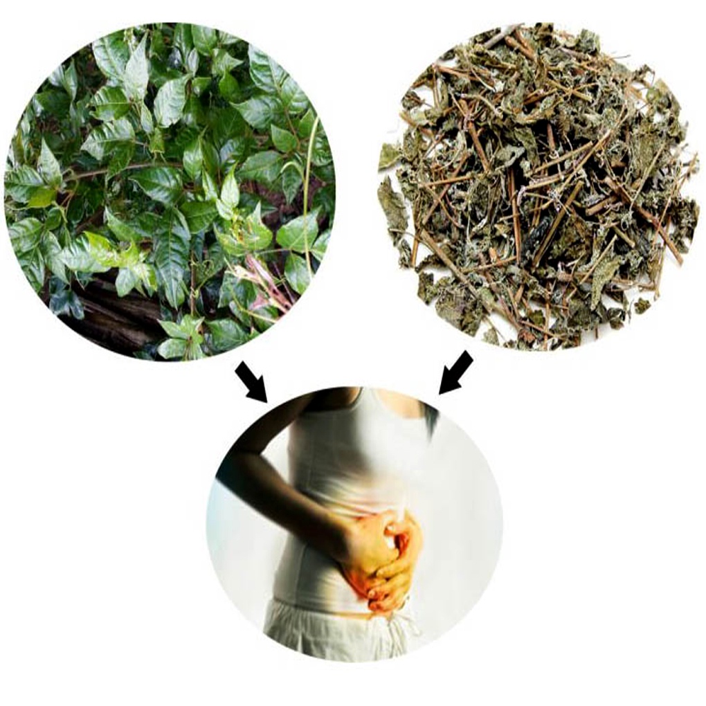 Trà chè dây túi lọc  30 túi lọc trà , giúp ngủ ngon , giảm đau dạ dày