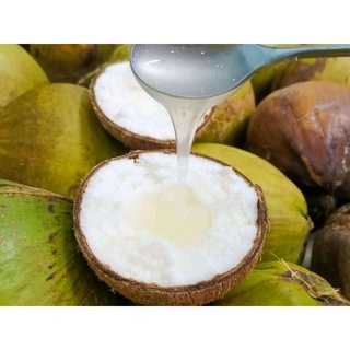 Dừa sáp cầu kè - dừa sáp đặt loại 1 160k/ trái