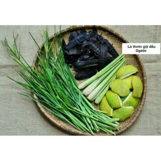 Lá thơm gội đầu