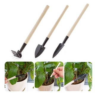 Set 3 dụng cụ làm vườn mini tay cầm bằng gỗ