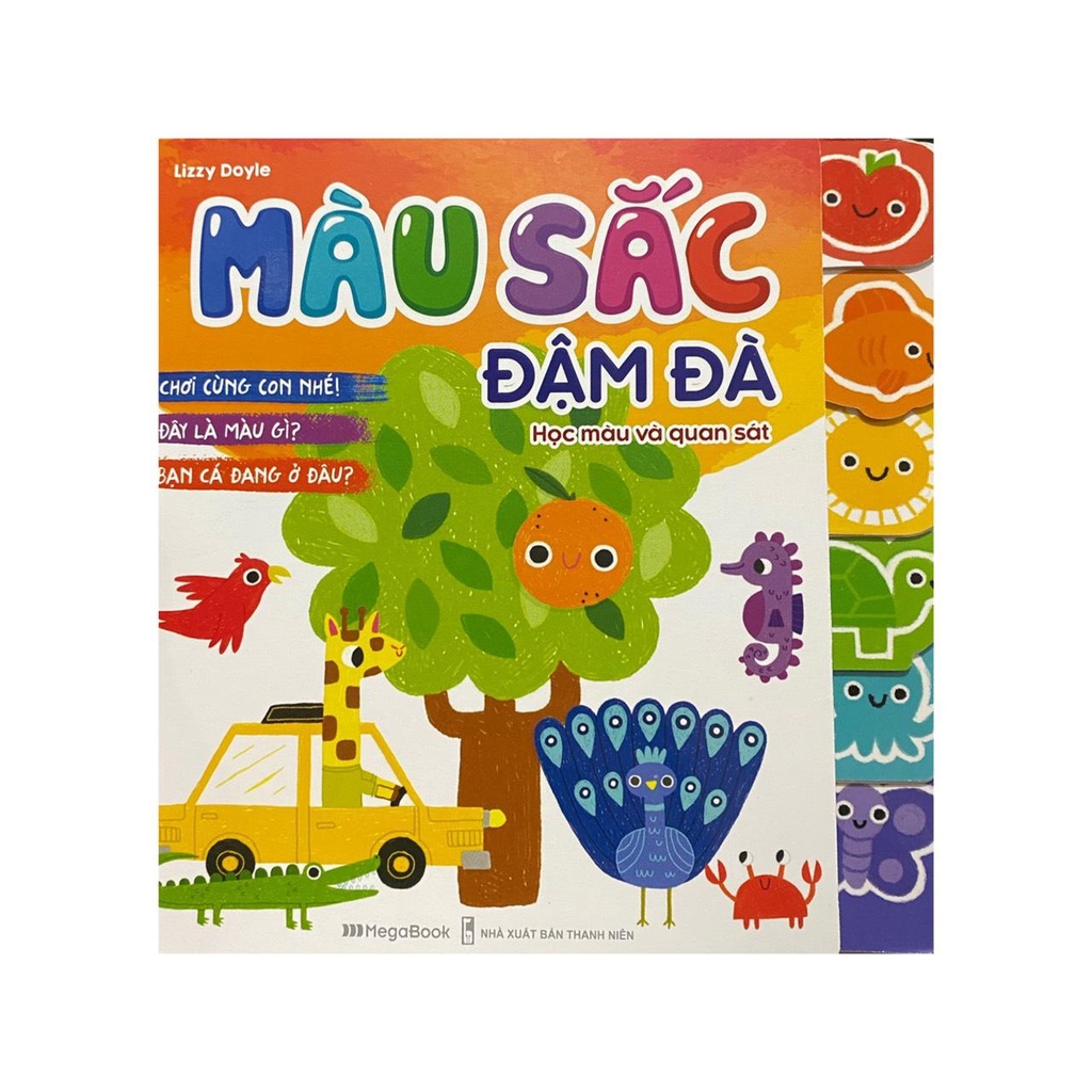 Sách - Màu sắc đậm đà : Học màu và quan sát ( Megabook )
