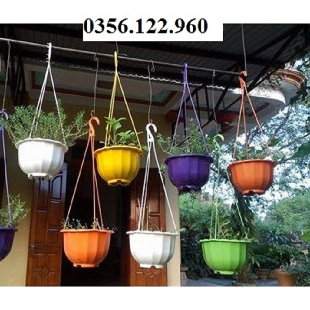 Bộ 15 chậu trồng hoa có móc treo hình bí ngô - Size 22 x16 cm + Tặng  phân hữu cơ cao cấp
