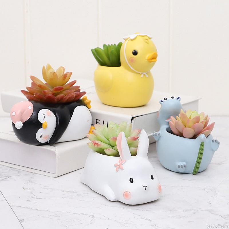 Chậu cây cảnh mini dễ thương đáng yêu xinh xắn