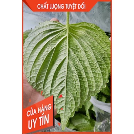 Tổng Buôn Siêu rẻ > Lá Kenhip Vừng Mè Tía Tô Cuốn Thịt nướng Hàn Quốc 1kg