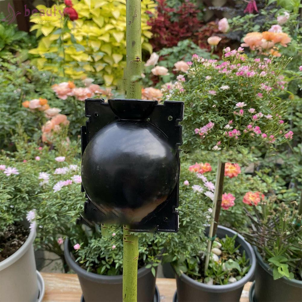 Set 3 Hộp Chăm Sóc Cây Trồng Bền Bỉ Tiện Dụng