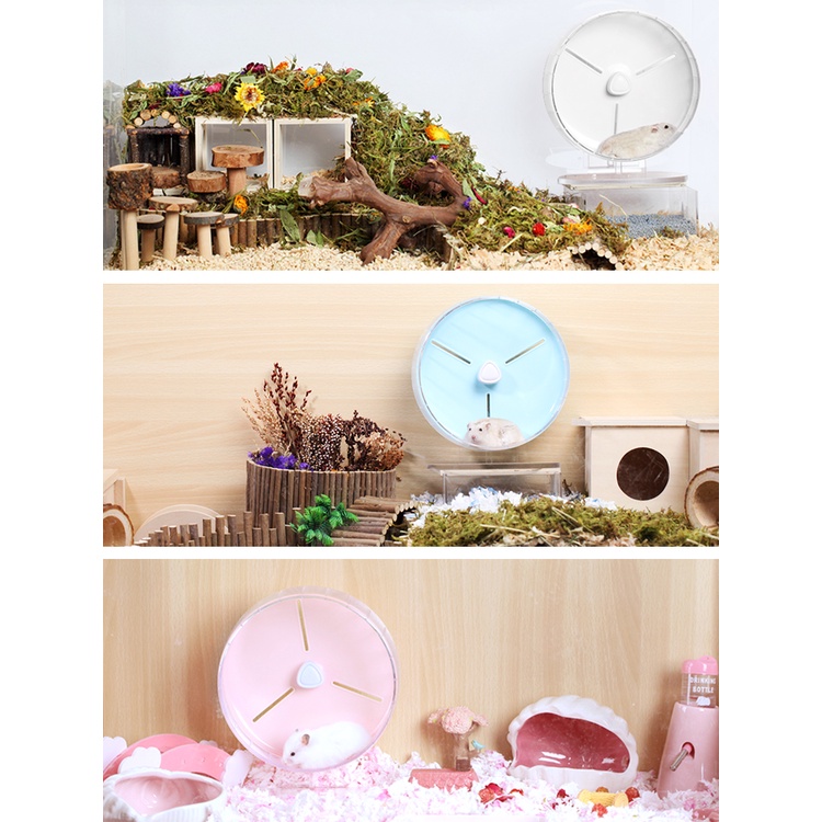 WHEEL chạy không gây tiếng động BUCATSTATE dành cho Hamster (chính hãng)