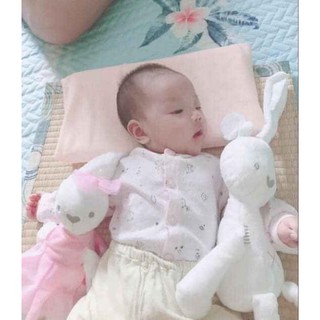Thỏ Trắng Ôm Ngủ