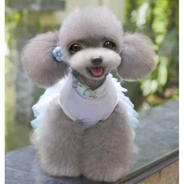 Quần áo thú cưng [Dog Baby]- Đầm xoè công chúa 2019