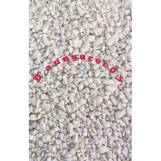 Bắp Trắng Xay làm xôi bắp giã (1kg)